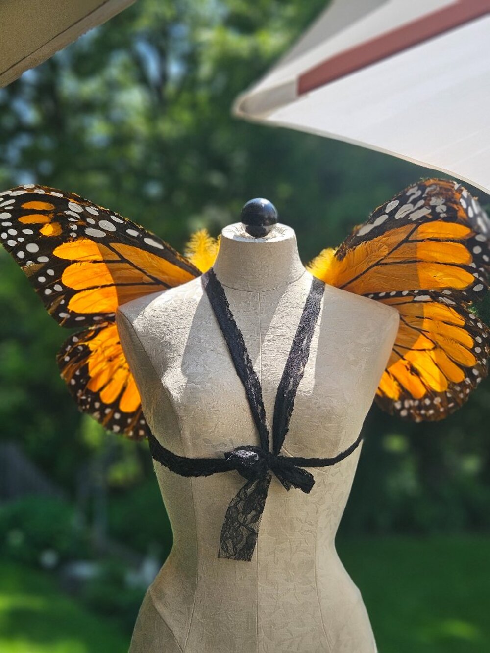 Butterfly Wings  W Feathers & Lace